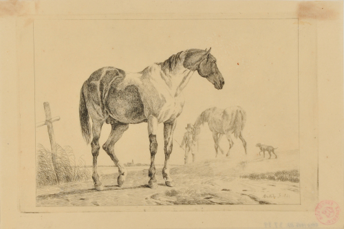 TWO HORSES, ONE IN BACKGROUND WITH MAN AND DOG