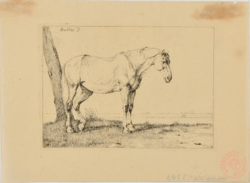 HORSE STANDING BY A TREE