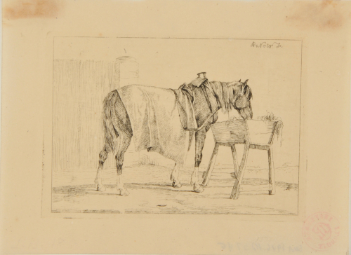 HORSE WITH BLANKET EATING HAY OUT OF BOX