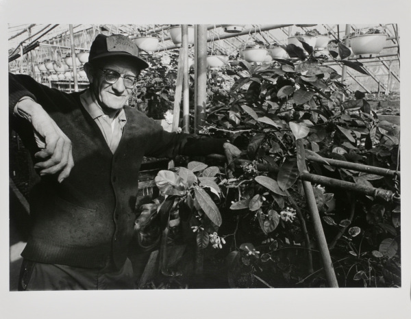 WALTHER GARDENS, BALTIMORE.