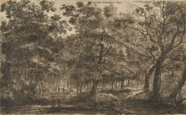 IN THE WOODS AT SEUNIG