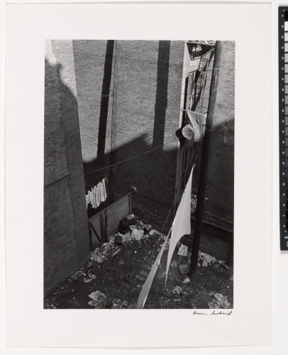 HARLEM, 1940, BACKYARD