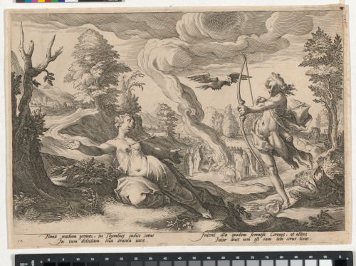 APOLLO KILLING CORONIS