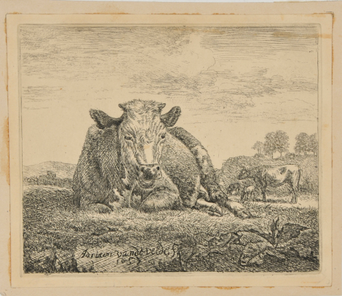 THE COW RESTING