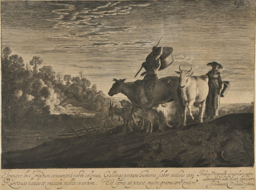 CATTLE RETURNING HOME