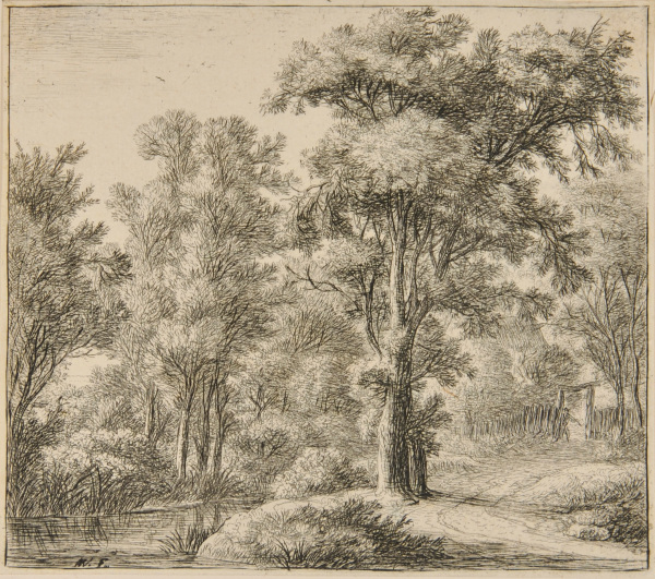 THE ENTRY TO THE WOOD