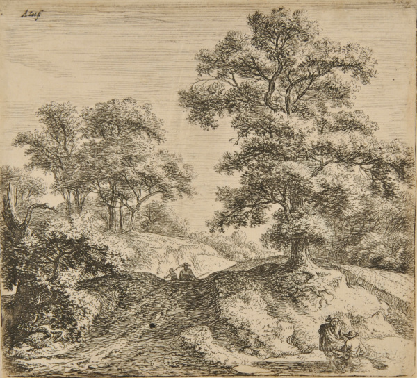 LARGE OAK ALONG A PATH