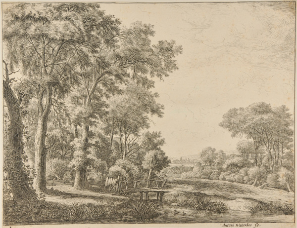 THE ENTRANCE TO A FOREST BY A SMALL WOODEN BRIDGE