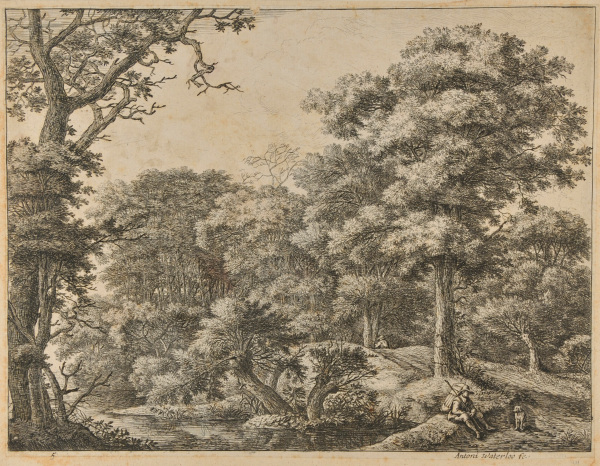 A TRAVELER RESTING IN A FOREST