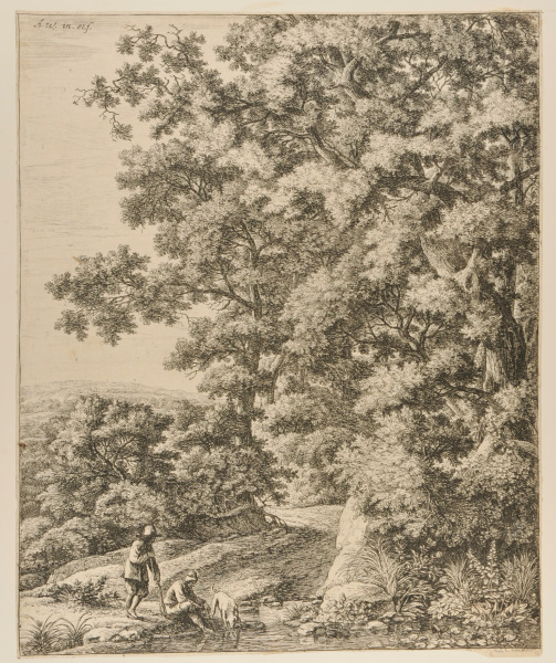 A DOG DRINKING FROM A STREAM