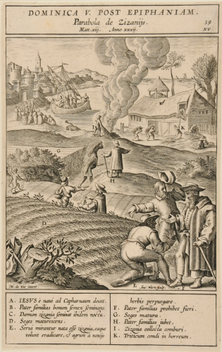 THE PARABLE OF THE WHEAT AND THE TARES