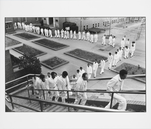 MEAL LINE, THE WALLS