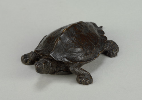 TURTLE NUMBER 2 (WITHOUT BASE)