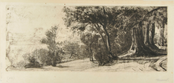 EARLY MORNING - RICHMOND