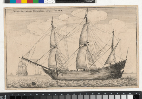 Nauis mercatoria hollandica vulgo vliet