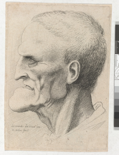 HEAD OF AN OLD MAN WITH PRONOUNCED CHIN, SHORT CROPPED HAIR AND GAPING MOUTH SHOWING TEETH IN PROFILE TO LEFT
