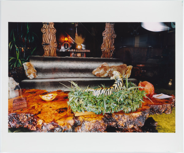 UNTITLED (JUNGLE ROOM)