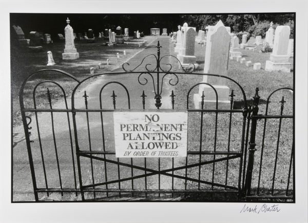 NO PERMANENT PLANTINGS, NEW YORK STATE, 1984