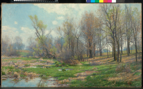 FIELDS AND WOODS IN SPRING