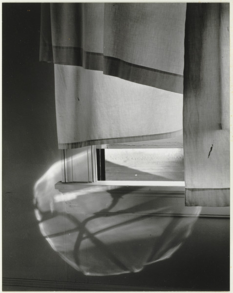 WINDOWSILL DAYDREAMING (72 N. UNION STREET, ROCHESTER)