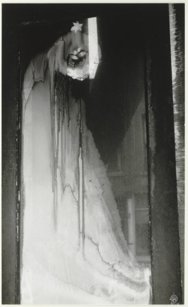 ABSTRACTION FROSTED DOOR (BATAVIA, NEW YORK)