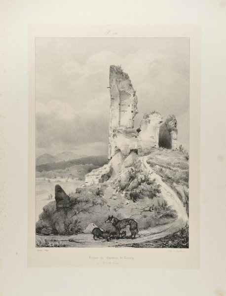 RUINES DU CHÂTEAU DE NOZEROY