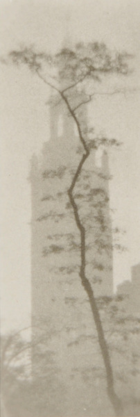 MISTY DAY ON FIFTH AVENUE