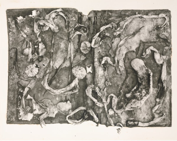 THE MEDICAL HISTORY OF THE WAR OF REBELLION