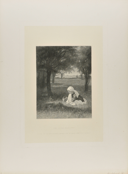 THE LITTLE WILDFLOWER