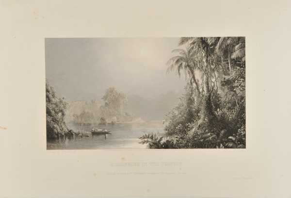 A MORNING IN THE TROPICS