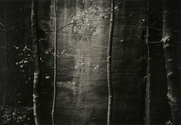 CEREMONIAL VEIL NESSCLIFFE, SHROPSHIRE, ENGLAND