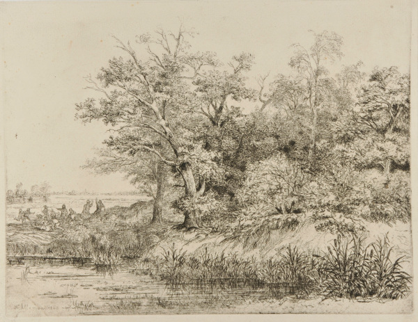 THE DANCE UNDER THE TREES