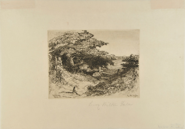 LANDSCAPE WITH BAR FENCE