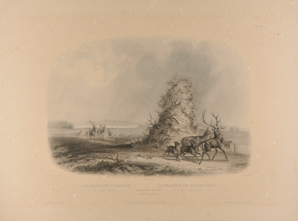 THE ELKHORN PYRAMID ON THE UPPER MISSOURI