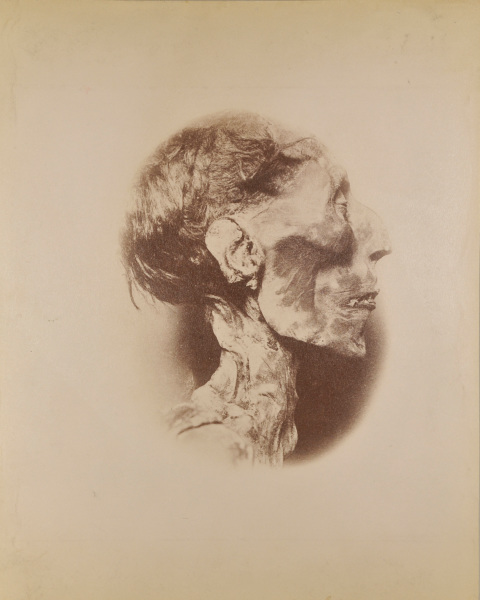 HEAD OF THE MUMMY OF RAMESSES II, 19TH DYNASTY, CAIRO EGYPTIAN MUSEUM