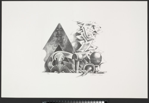 From the portfolio “The Corcoran 2005 Print Portfolio: Drawn to Representation”