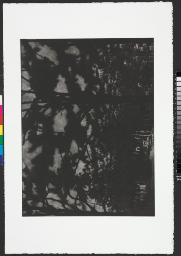 From the portfolio “The Corcoran 2005 Print Portfolio: Drawn to Representation”