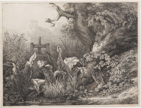 La Patience d’eau et la Ronce à la vanne