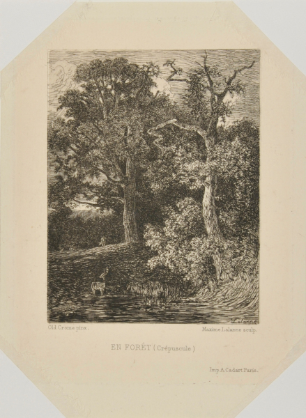 IN THE FOREST (TWILIGHT)