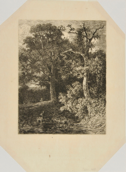 IN THE FOREST (TWILIGHT)