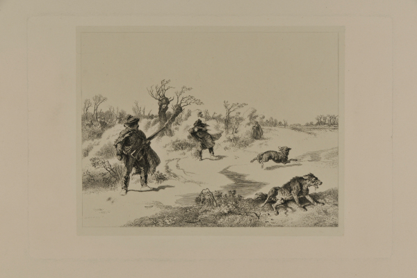 HUNT FOR WOLVES (HUNGARY)