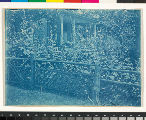 GARDEN, DOW'S HOME, IPSWICH