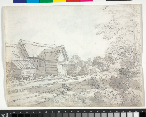 HAMPSTEAD (RECTO); FOLIAGE (VERSO)