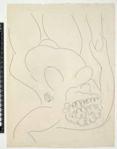 Une Négresse (published state)