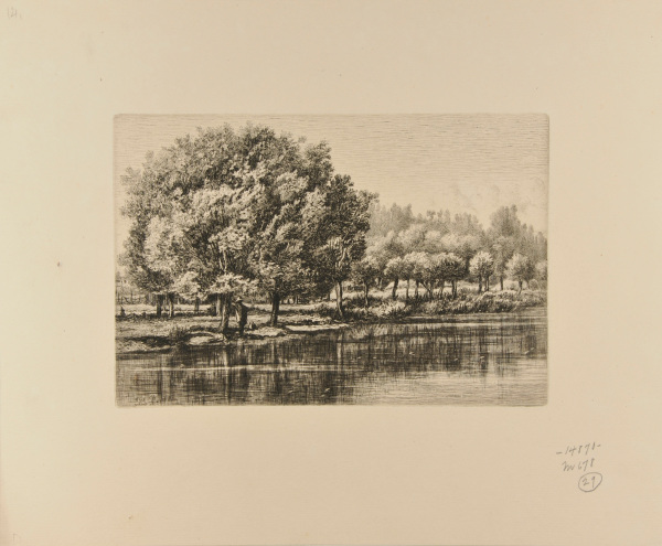 ÎLE À LA MOUTARDE À MONTGERON (RIVIÈRE D'YÈRES)