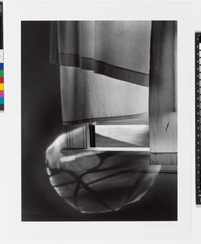 WINDOWSILL DAYDREAMING, ROCHESTER, NEW YORK