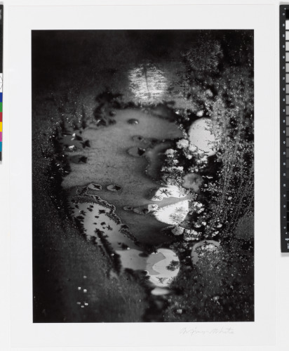 BEGINNINGS (72 N. UNION STREET, ROCHESTER)