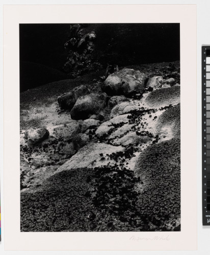 Ritual Stones, Notom, Utah