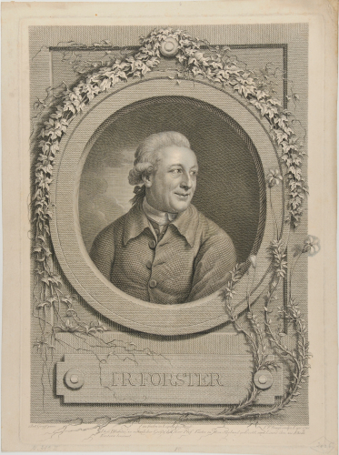 JOHANN REINHOLD FORSTER