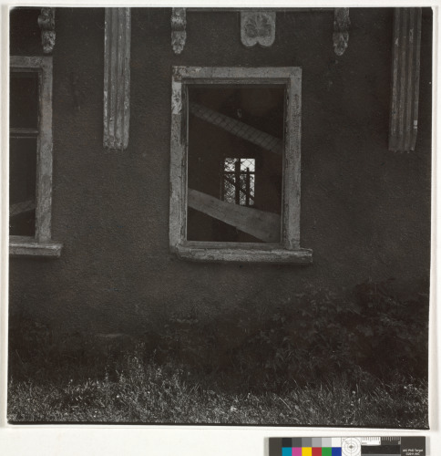 EMPTY HOME, CHERNOWITZ